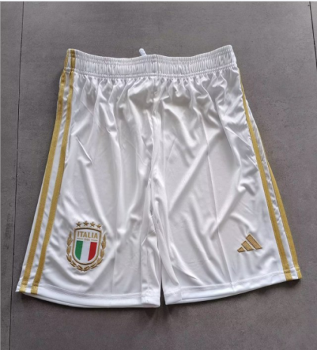 120th Commemorative Edition 2023/24 Italy White Thailand Soccer Shorts-315