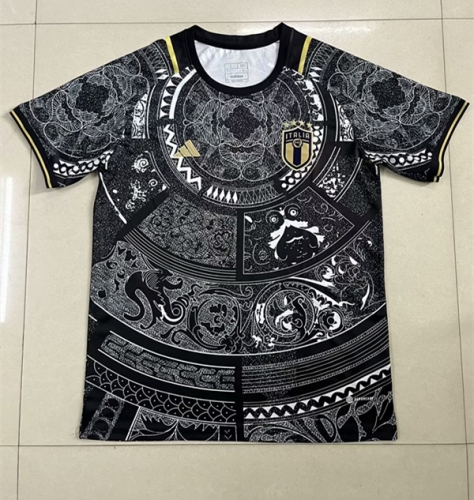 2023/24 Gainian Version Italy Black Thailand Soccer Jersey AAA-407/47