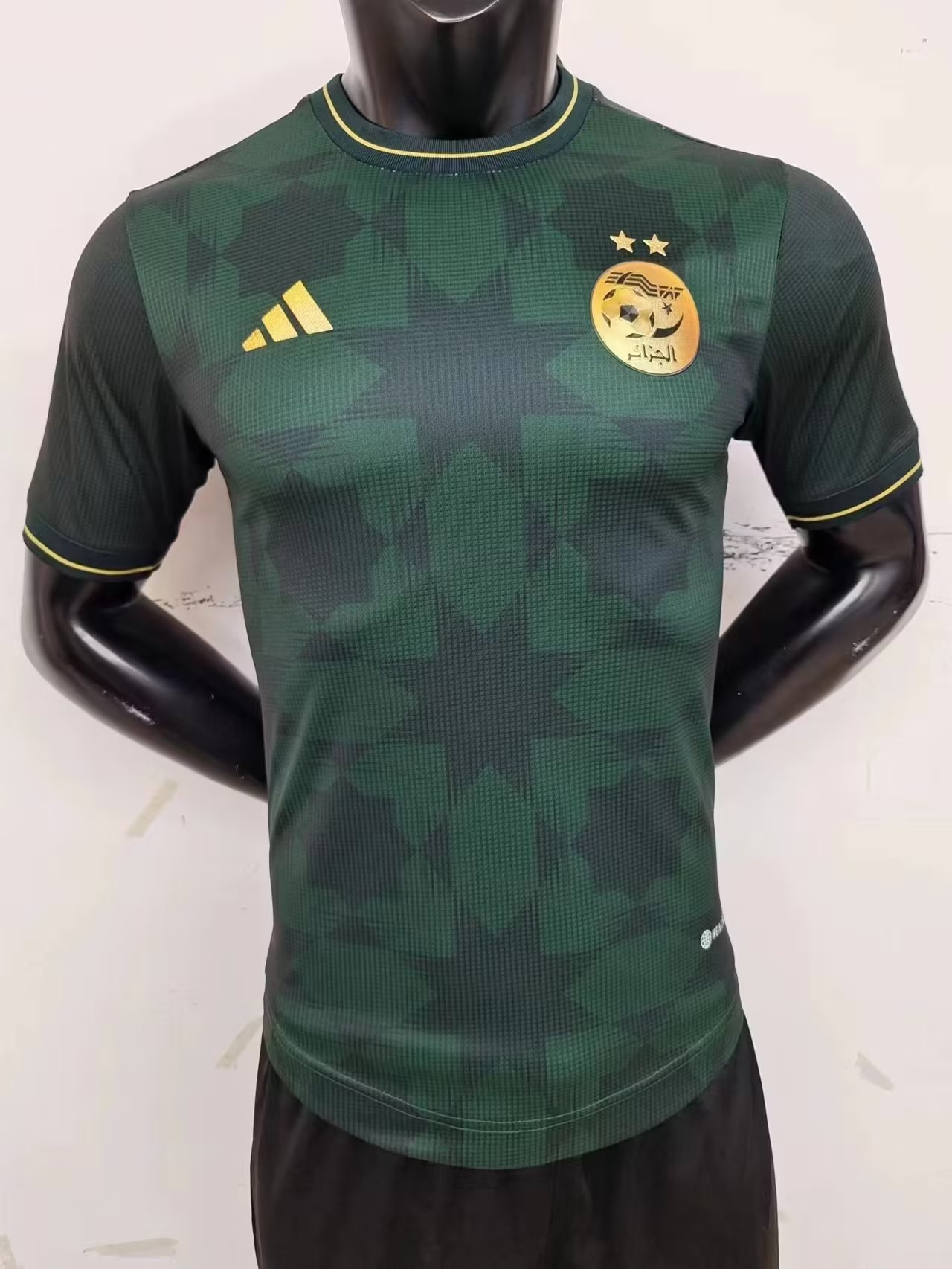 Player Version 2023/24 Algeria Green Thailand Soccer Jersey AAAMY