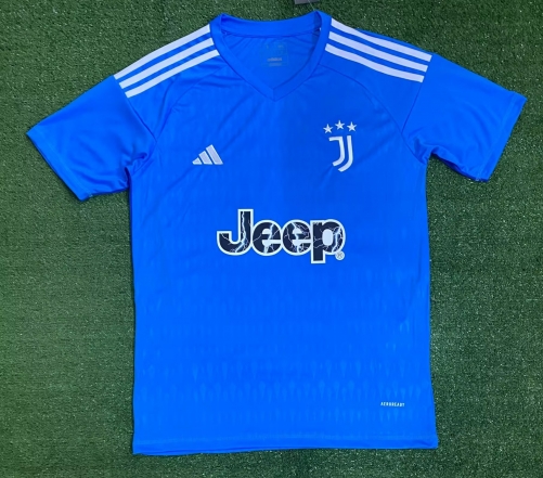 23/24 Juventus FC Goalkeeper Blue Thailand Soccer Jersey AAA-416