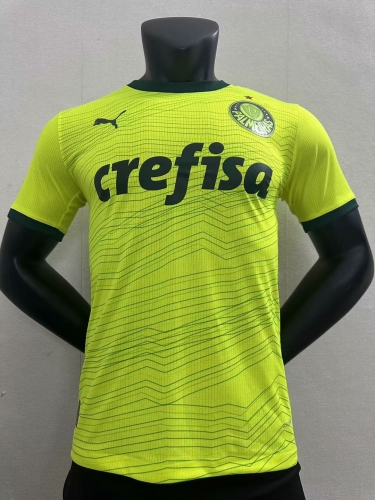 Player Version 2023/24 Palmeiras 2nd Away Green Thailand Soccer Jersey AAA-16