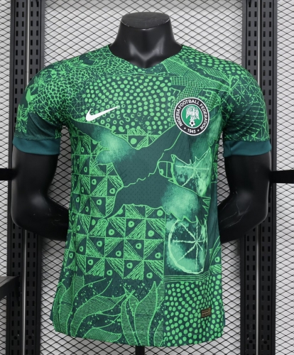 Player Version 2023/24 Nigeria Green Soccer Thailand jersey AAA-308/888/2100