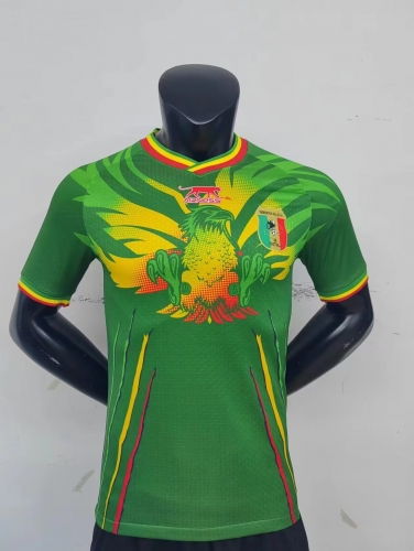 Player Version 2023/24 Mali Green Thailand Soccer Jersey AAA-MY/308