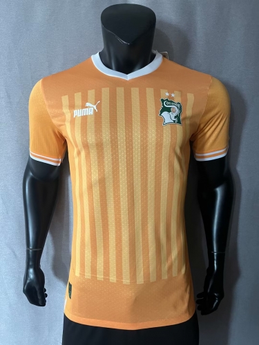 Player Version 2023/24 Côte d'Ivoire Home Orange Thailand Soccer Jersey AAA-308/MY