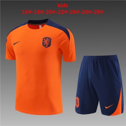 2023/24 Netherlands Orange Shorts-Sleeve Youth/Kids Thailand Soccer Tracksuit Uniform-801