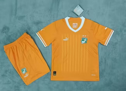 2023/24 Côte d'Ivoire Home Orange Thailand Soccer Uniform-SKE