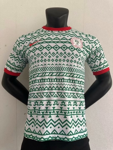 Player Version 2023/24 Nigeria White & Green Soccer Thailand jersey AAA-16/416