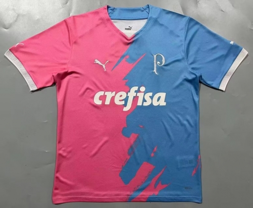 2023/24 Special Version Palmeiras Blue & Pink Thailand Soccer Jersey AAA-1095/908