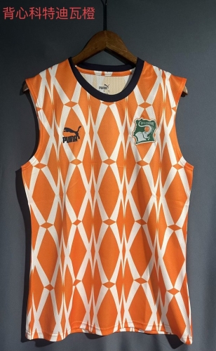 2023/24 Côte d'Ivoire Orange Thailand Soccer Jersey Vest AAA-709