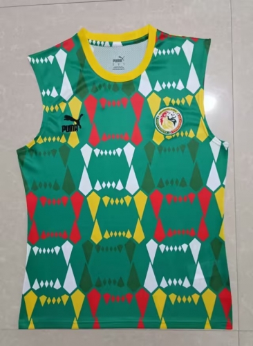 2023/24 Ghana Green Thailand Soccer Vest Jersey AAA-709