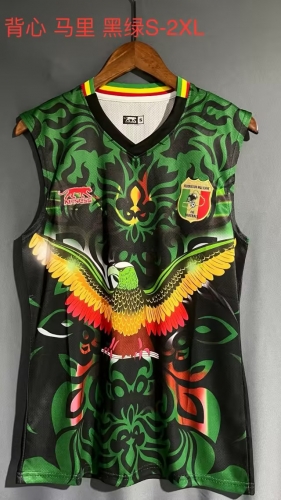 2023/24 Mali Black & Green Thailand Soccer Jersey AAA-709