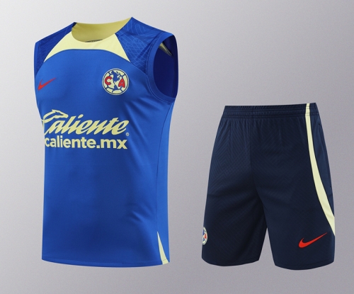 2024/25 Club América CaiBlue Thailand Soccer Training Vest Uniform-418