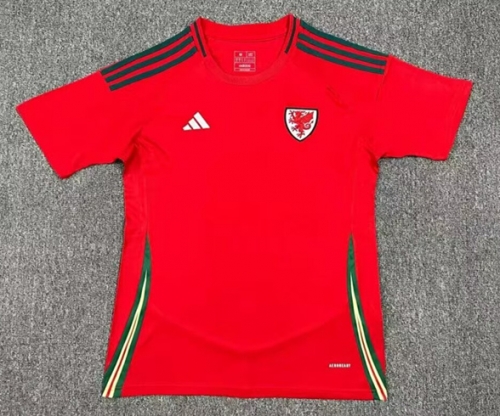 2023/24 Wales Home Red Thailand Soccer Jersey AAA-1040