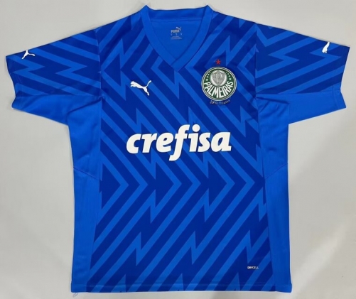 2024/25 SE Palmeiras Goalkeeper Blue Thailand Soccer Training Jersey-908