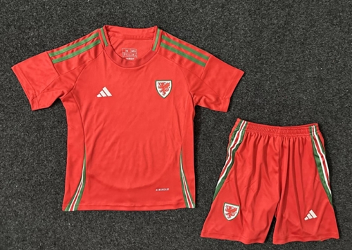 Kids 2024/25 Wales Home Red Kids/Youth Soccer Uniform-507/1040/522