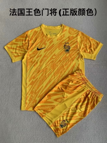 2024/25 France Goalkeeper Yellow Soccer Uniform-208