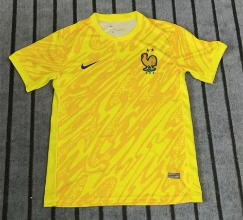 2024-25 France Yellow Thailand Soccer Training Jersey AAA-1106
