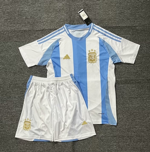 2024/25 Argentina Home Blue and White Soccer Uniform-315/302