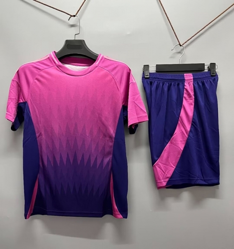 Customize 2024/25 Germany Away Pink & Blue Soccer Uniform-DN