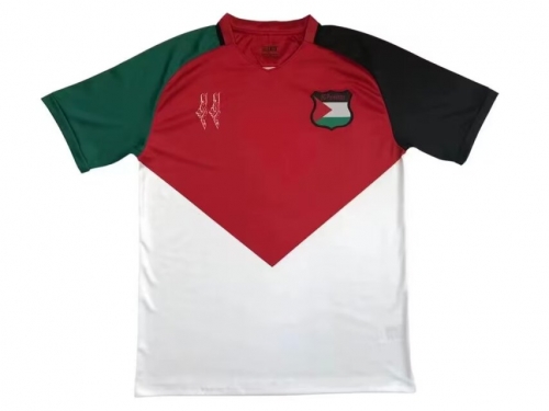 2024/25  Palestino Red & White Thailand Soccer Jersey AAA-38