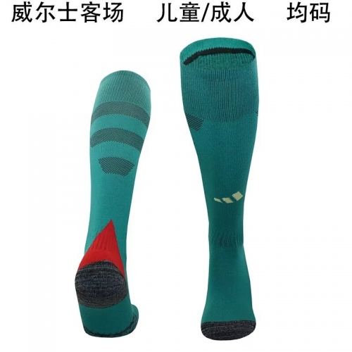 2024/25 Wales Away Green Thailand Soccer Socks