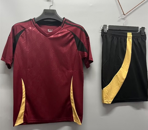 Customize 2024/25 Belgium Home Red Soccer Uniform-DN