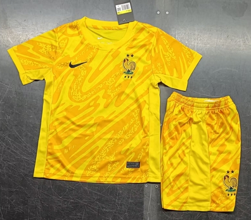 Kids 2024/25 France Goalkeeper Yellow Kids/Youth Soccer Uniform-208/123