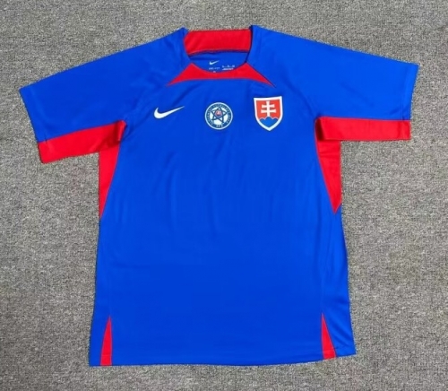 2024/25 Slovakia Home Blue Thailand Soccer Jersey AAA-1040