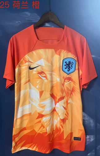 2024/25 Netherlands Orange Thailand Soccer Jersey AAA-709