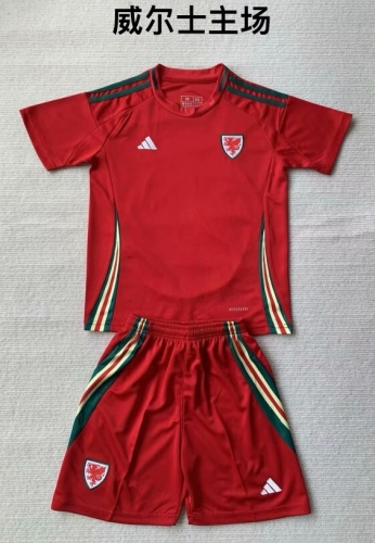 2024/25 Wales Home Red Soccer Uniform-208