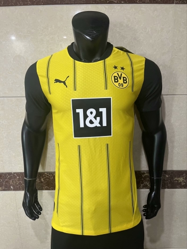 Player Version 2024/25 Borussia Dortmund Dray & Yellow Thailand Soccer Jersey-308