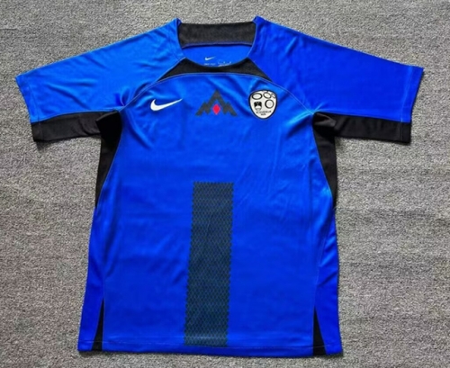 2024/25 Slovenia Home Blue Thailand Soccer Jersey AAA-1040