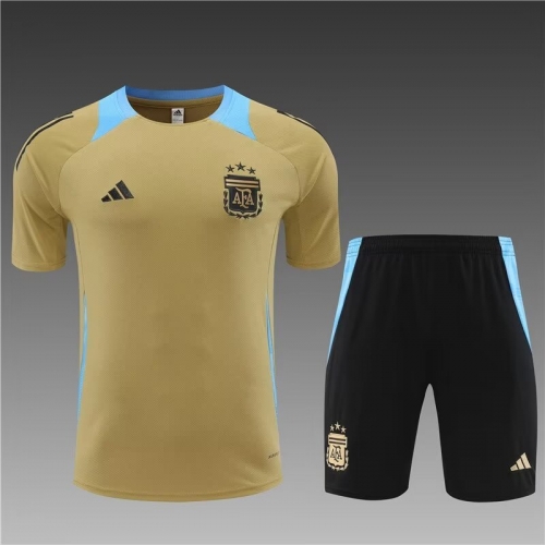 2024/25 Argentina Gold Shorts-Sleeve Thailand Soccer Tracksuit Uniform-801