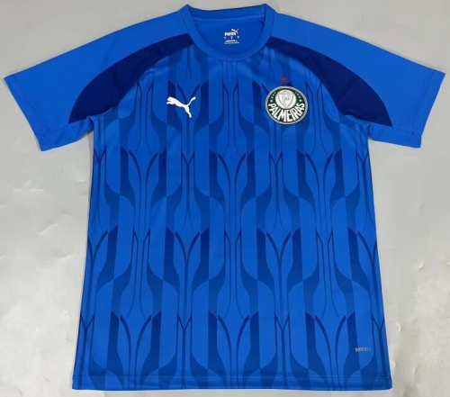 2024/25 Palmeiras Blue Pre-Game Thailand Soccer Jersey AAA-908