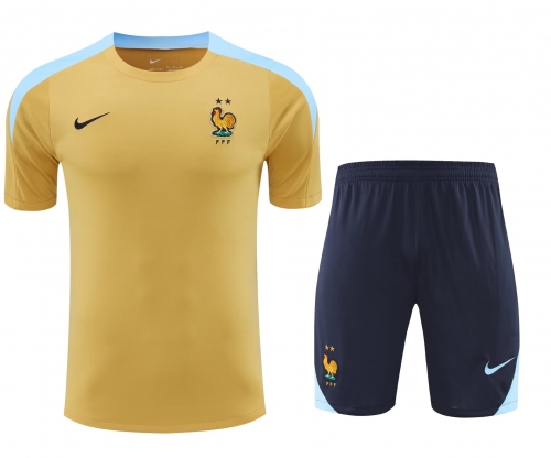 2024/25 France Yellow Thailand Soccer Training Uniform-418