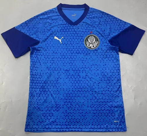 2024/25 SE Palmeiras Blue Thailand Soccer Training Jersey-908