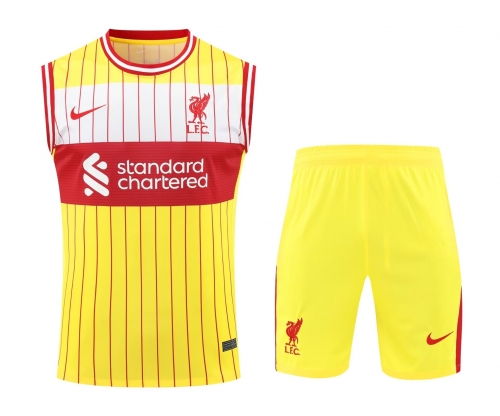 2024/25 Liverpool Yellow Thailand Soccer Training Vest Unifrom-418