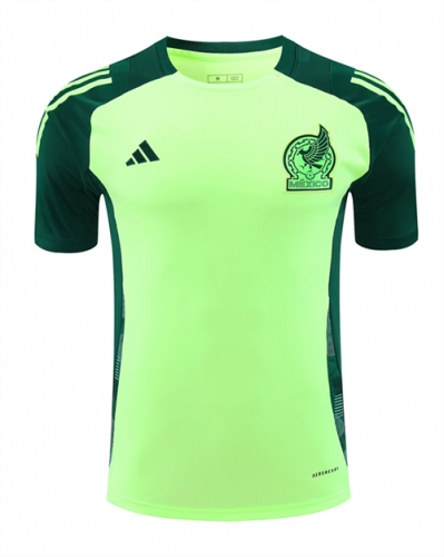 2024/25 Mexico Green Thailand Soccer Training Jersey AAA-418