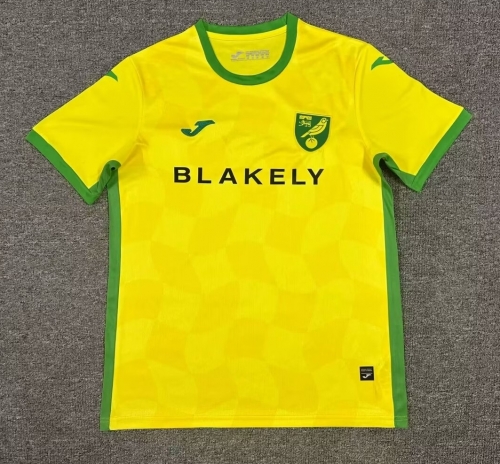 2024/25 Norwich City Home Yellow Thailand Soccer Jersey AAA-1040