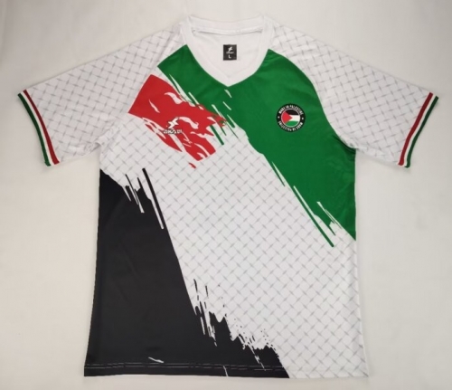 2024/25 Palestine Black & Green & White Thailand Soccer Jersey AAA-38