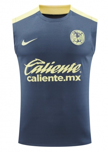 2024/25 Club América Dark Gray Thailand Soccer Training Vest-418