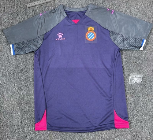 2024/25 RCD Espanyol Away Purple & Gray Thailand Soccer Jersey AAA-2173