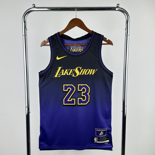 25 Season City Version Los Angeles Lakers NBA Blue & Purple #23 Jersey-311