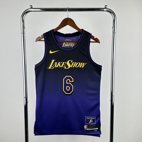 25 Season City Version Los Angeles Lakers NBA Blue & Purple #6 Jersey-311