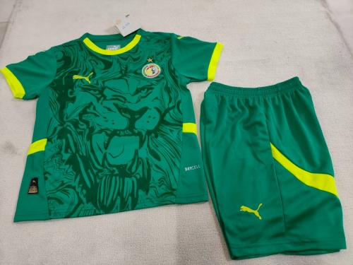 Kids 2024/25 Senegal Green Kids/Youth Soccer Uniform-507