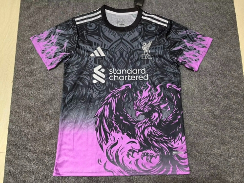 2024/25 Special Version Liverpool Purple & Gray Thailand Soccer Jersey AAA-312/23