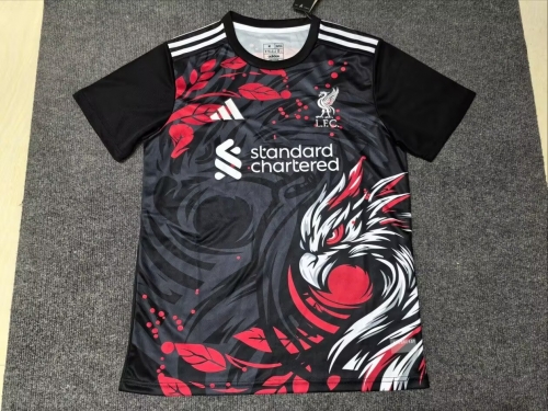 2024/25 Special Version Liverpool Black & Gray Thailand Soccer Jersey AAA-312