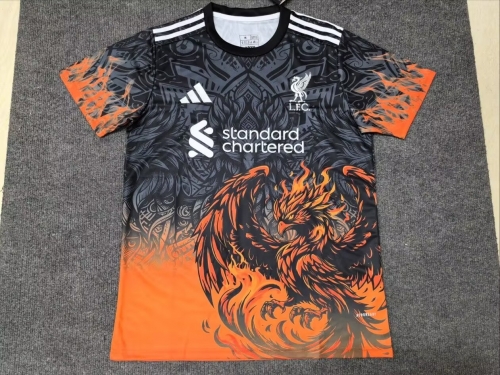 2024/25 Special Version Liverpool Orange & Gray Thailand Soccer Jersey AAA-312