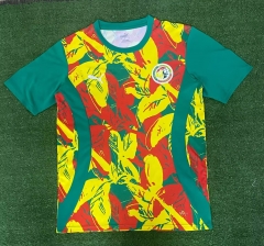 2024/25 Senegal Green & Yellow & Red Thailand Soccer Training Jerseys-416