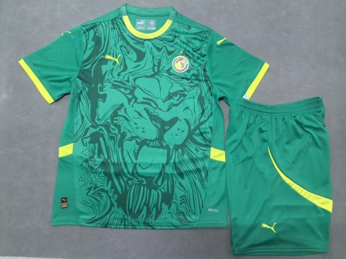 2025/26 Senegal Away Green Soccer Uniform-315